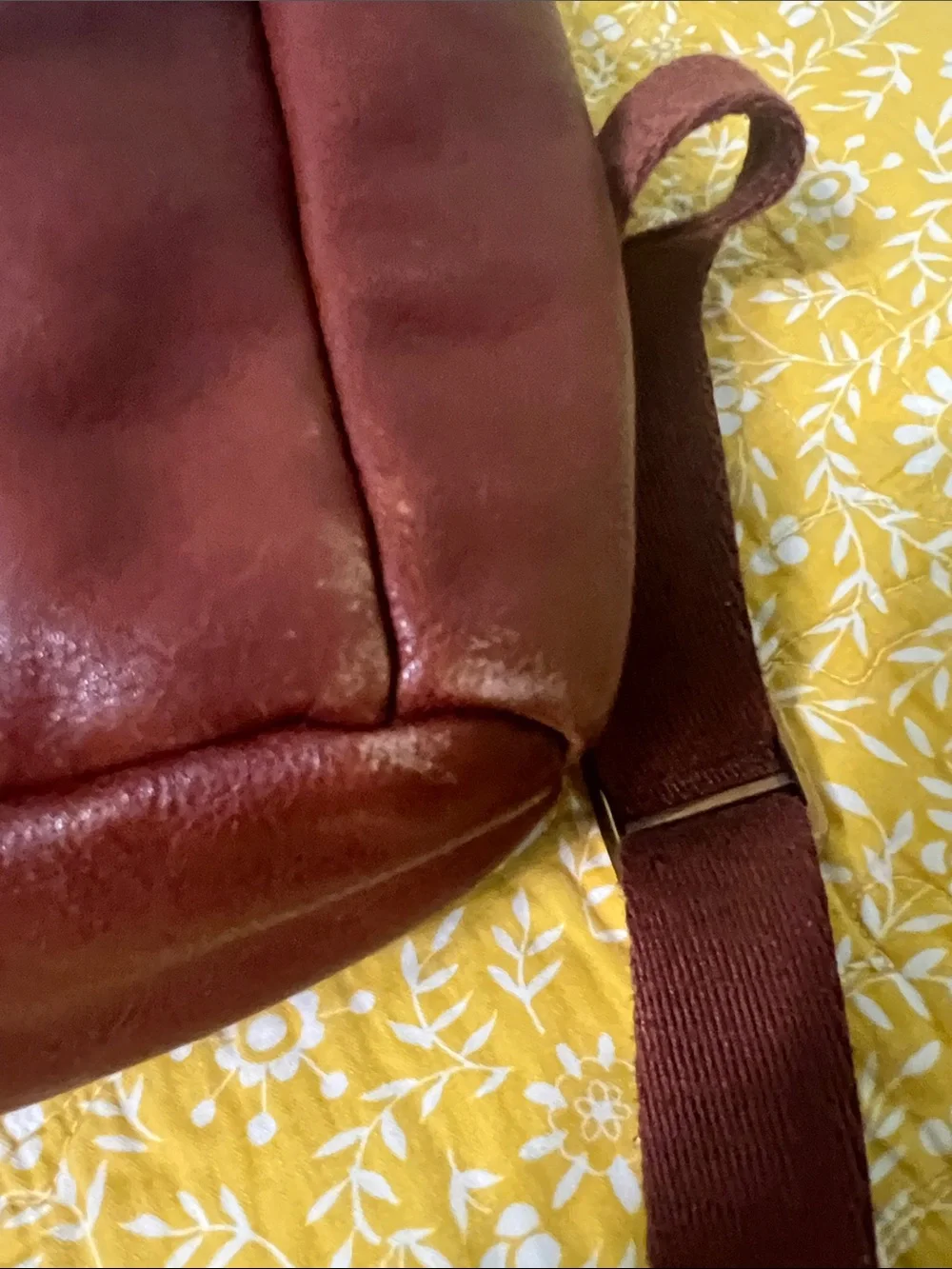 Frye Chestnut Brown Leather Backpack